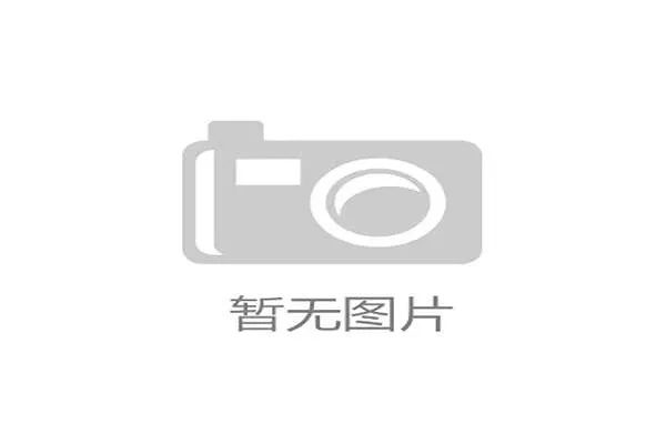2026年世界杯新西兰与比利时比赛看点详解及关键战术分析
